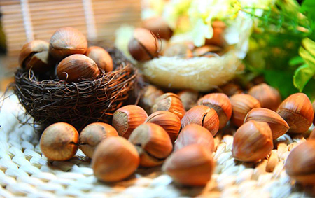 خواص فوق‌العاده فندق برای سلامتی و زیبایی