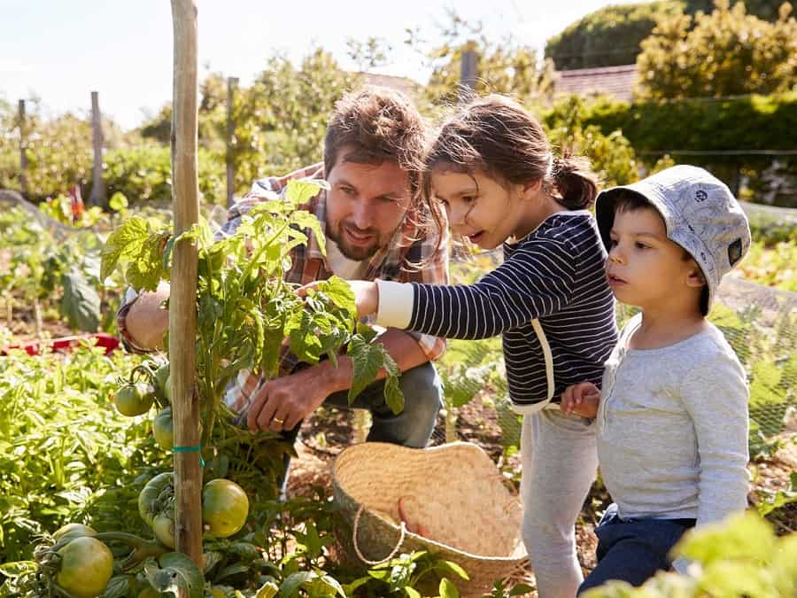 آموزش مهارت های ابتدایی باغبانی به نوجوانان چیست ؟