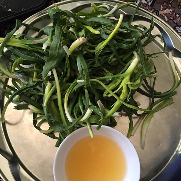 خواص گیاه شنگ برای سلامتی و روش مصرف آن