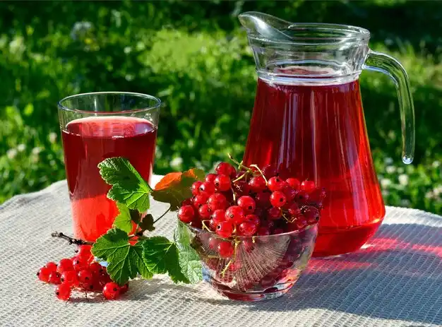 مزایا و معایب مصرف آب زرشک برای بدن