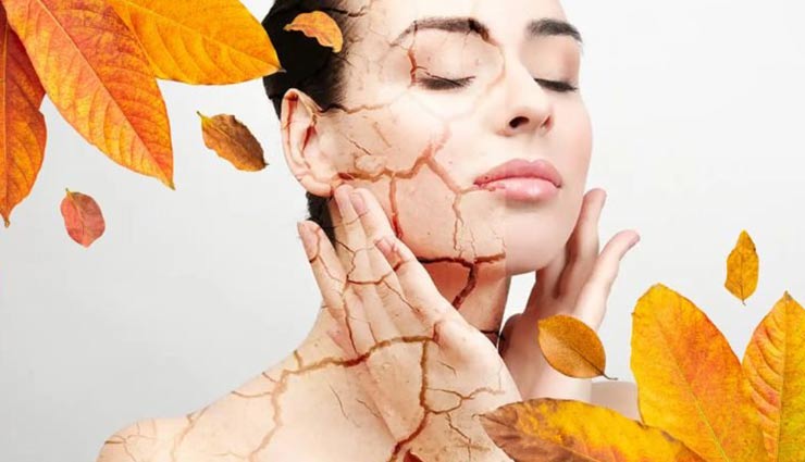 آلرژی های شایع در پاییز و راه درمان آن