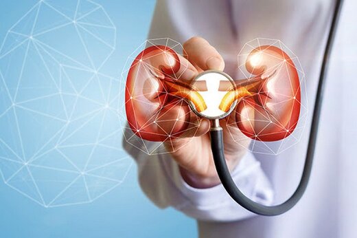 بیماریهای ژنتیکی کلیه و مجاری ادراری چیست؟